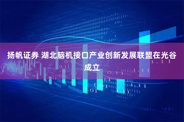 扬帆证券 湖北脑机接口产业创新发展联盟在光谷成立