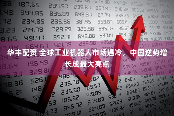 华丰配资 全球工业机器人市场遇冷，中国逆势增长成最大亮点