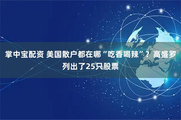 掌中宝配资 美国散户都在哪“吃香喝辣”？高盛罗列出了25只股票