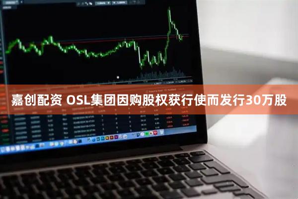 嘉创配资 OSL集团因购股权获行使而发行30万股